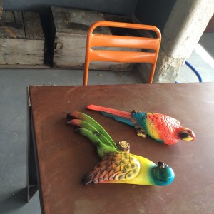 Birds for the terrace